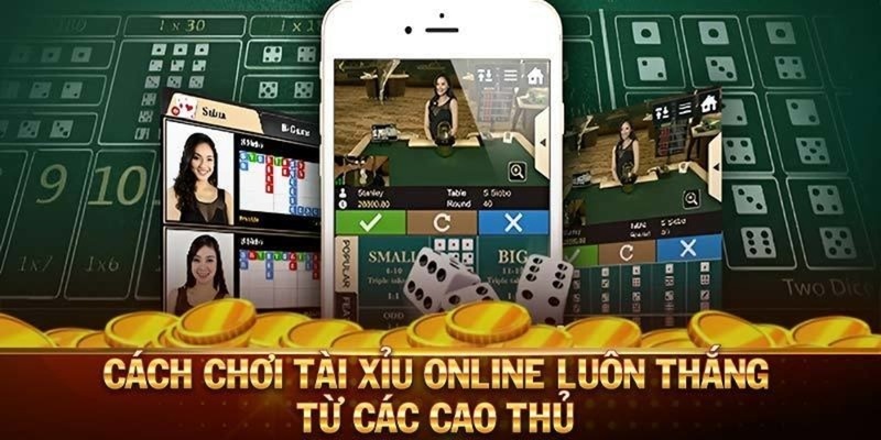 Cách chơi tài xỉu online luôn thắng